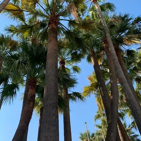 Appartement Vieux Port , True Seafront& View, 5g Fibre&bbc Cannes