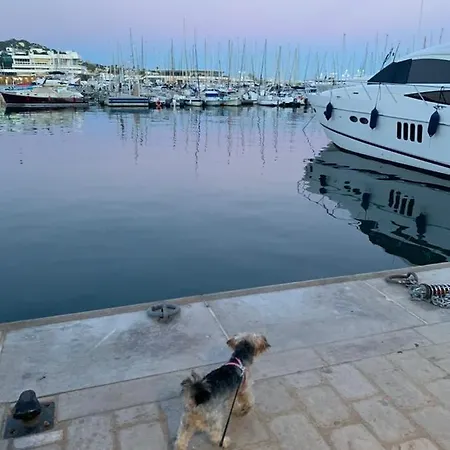 Апартаменты Old Port, Seafront & Seaview, Yacht Show Port